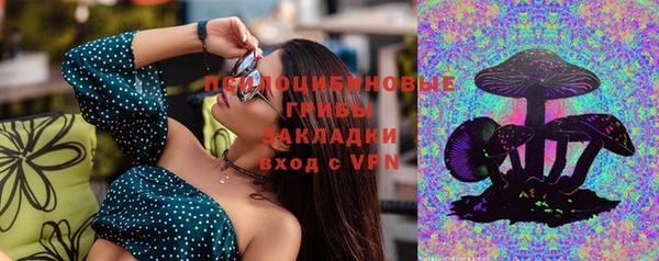 крисы Магас