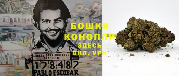 твердый Балахна