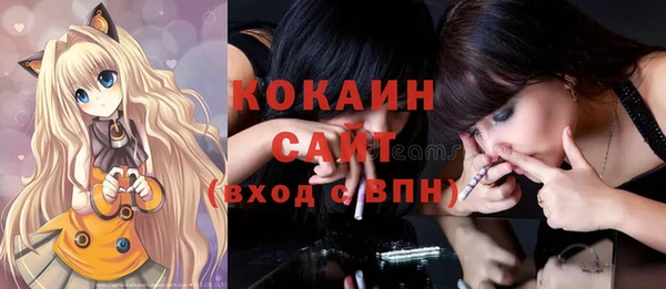 крисы Магас