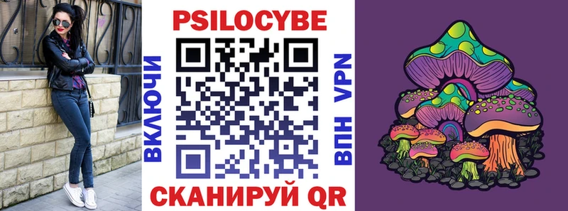 Псилоцибиновые грибы Psilocybe  Спасск-Рязанский 